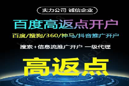 专业sem托管服务案例，揭秘广告投放优化策略